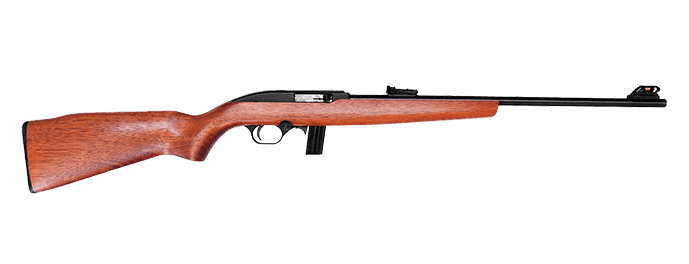 Carabina .22 Mira Aberta